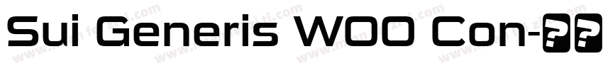 Sui Generis W00 Con字体转换